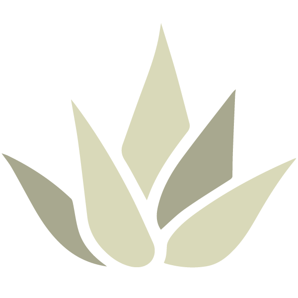scottsdale-wellness_web-icon Scottsdale Wellness and Integrated Care Icon